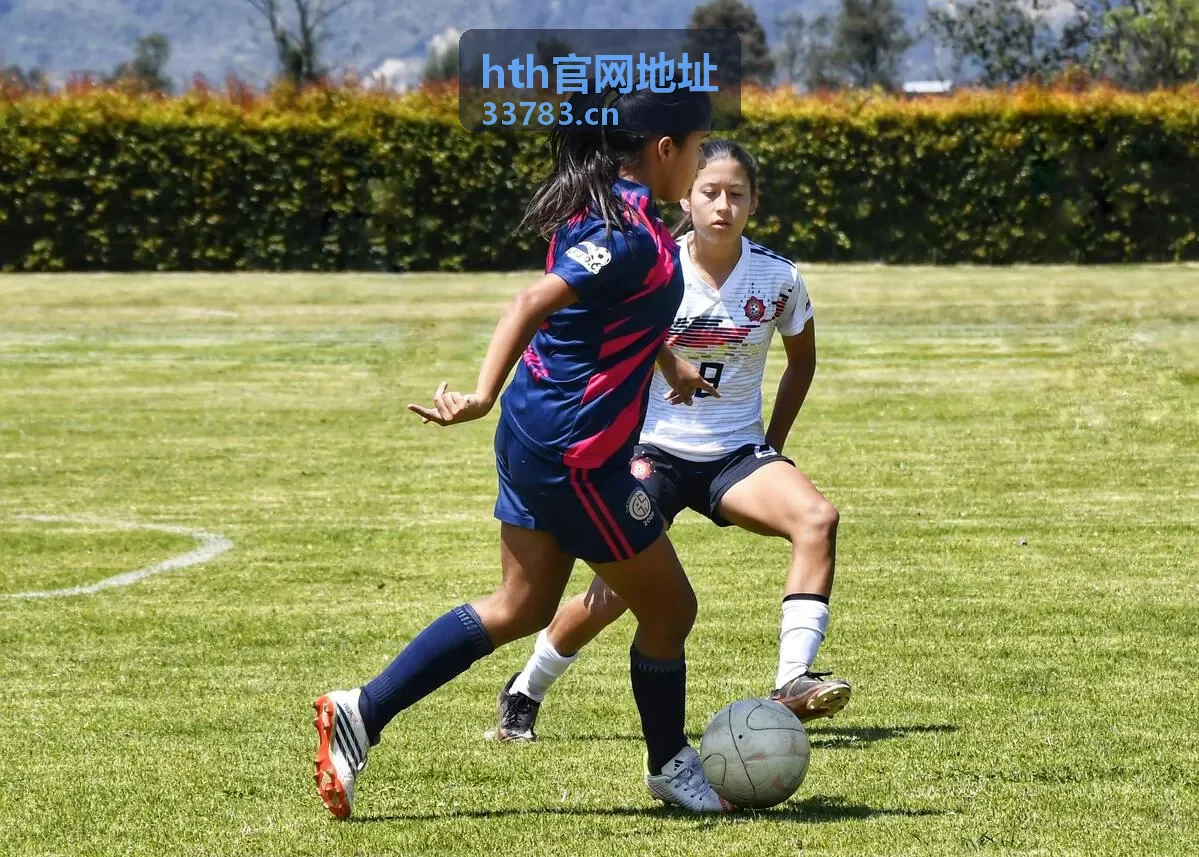 hth官网地址专属栏目入口核验手册封面
